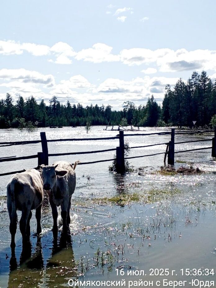 наводнение