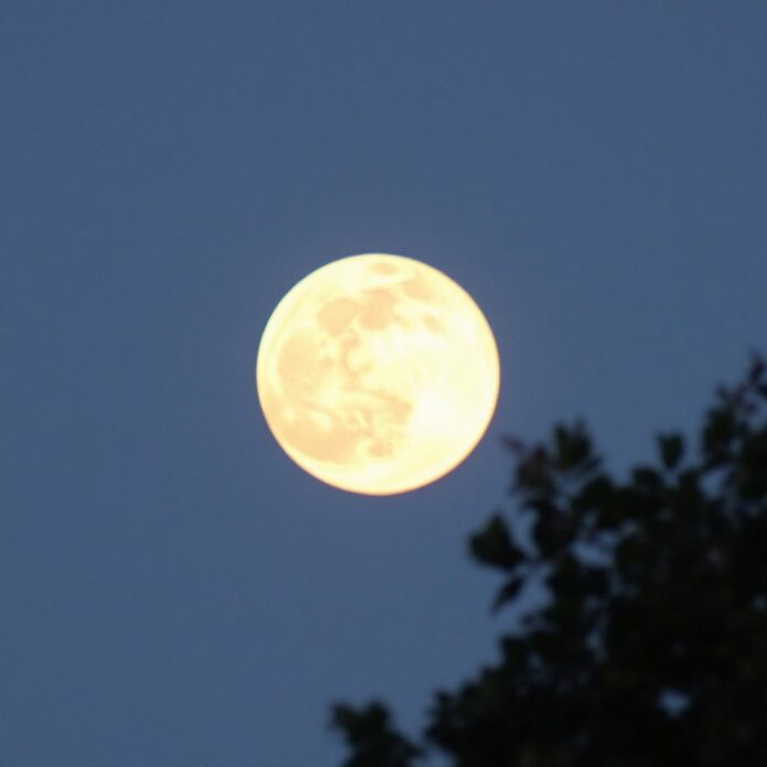 полнолуние в водолее 9 августа