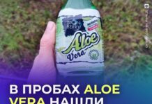 Опасные примеси в напитке с алоэ: что скрывает производитель? напиток с алоэ
